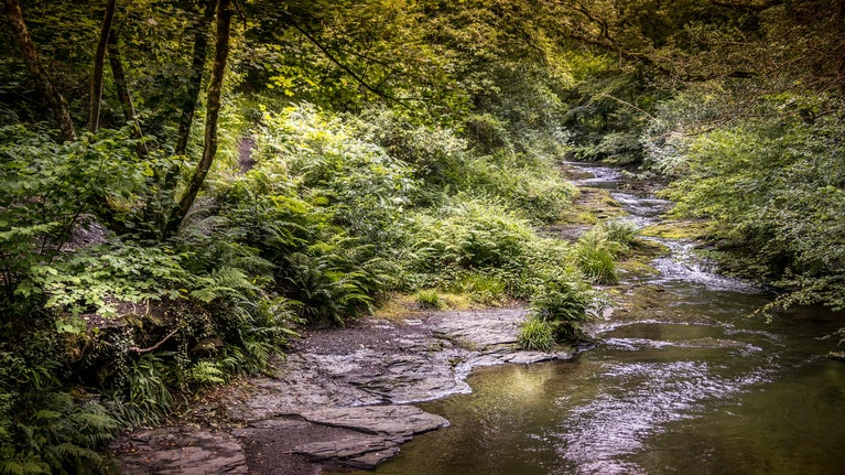 The River Valency by Boscastle Elm Cottage, Cornwall